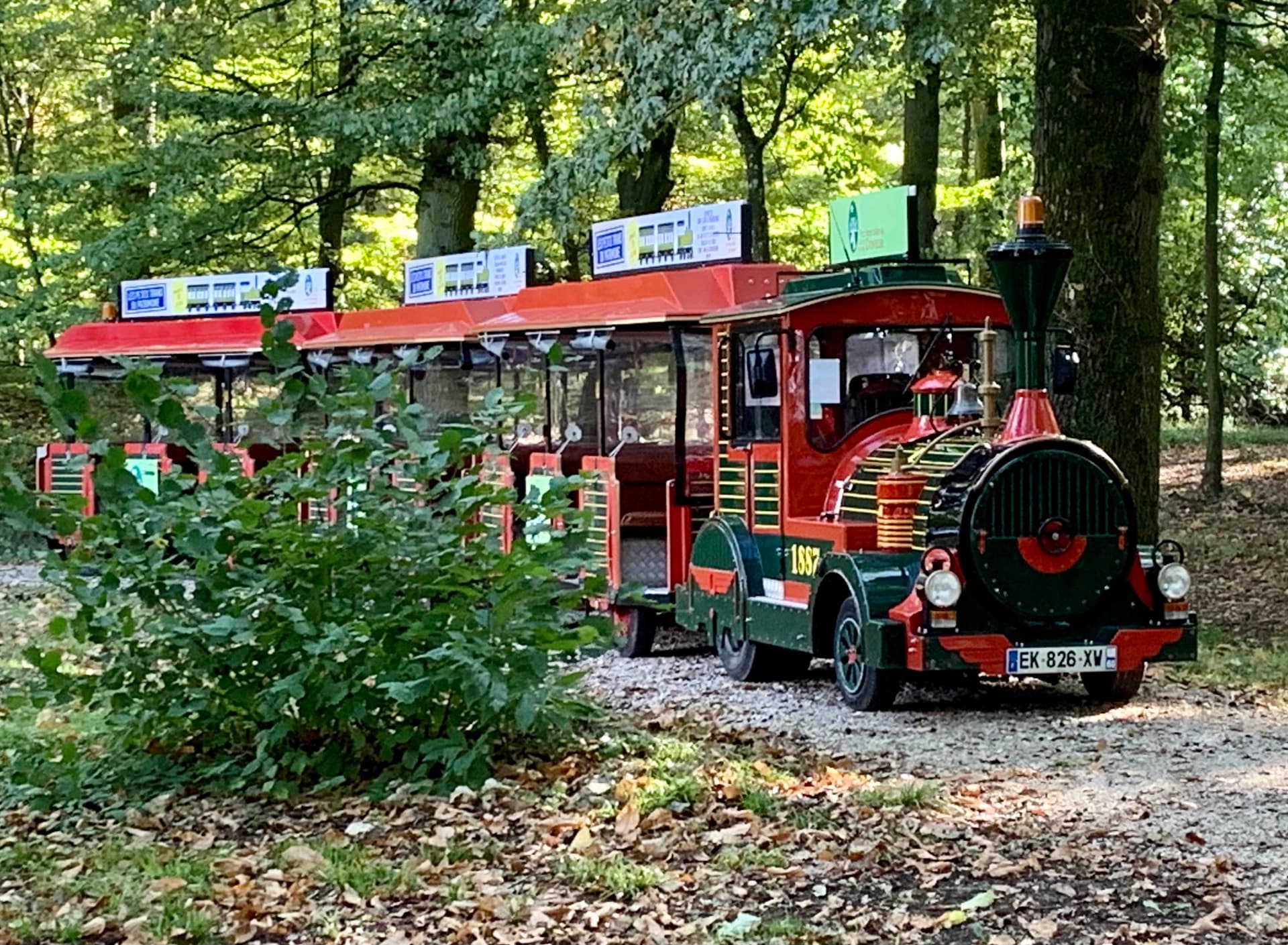 Tourist train theme park shuttle