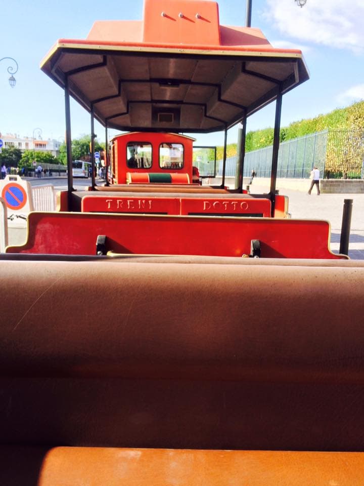 Local fete animation tourist train